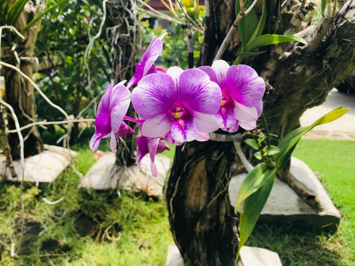 ממבג'או Tongatok Cliff Resort מראה חיצוני תמונה